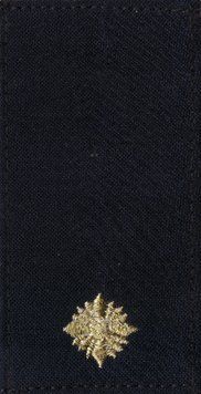 Погони Національна Гвардія України НГУ Молодший Лейтенант Dark Navy Blue 6272 фото