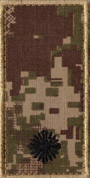 Погони Національна Гвардія України НГУ Молодший Лейтенант Хижак\Coyote 0070 20052 фото