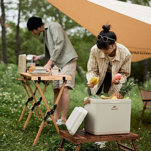 Туристичний холодильник Naturehike CNK2300BS011, 13 л, бежевий at-6976023925672 фото