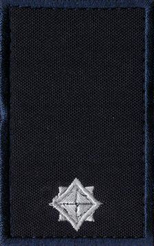 Погони ДСНС Мл. Лейтенант Dark Navy Blue 0070 8x5(р) 20248 фото