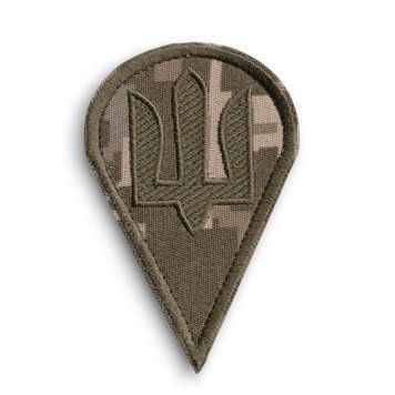 Нарукавний знак ЗСУ Десантно-штурмових військ (ДШВ) MM14 4911-24 4830 фото