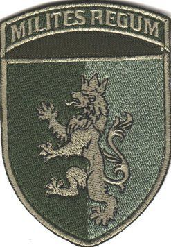 Нарукавний знак ЗСУ 24 ОМБр ім. короля Данила Механізовані війська "Milites Regum" Olive 6126 6528 фото