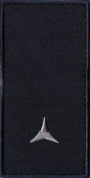 Погони ДСНС Сержант (Мл.Сержант, Сержант) Dark Navy Blue 5430 4085 фото