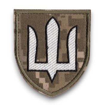 Нарукавний знак Державна служба спеціального зв'язку та захисту інформації України Тризуб MM14 5923-24 17894 фото