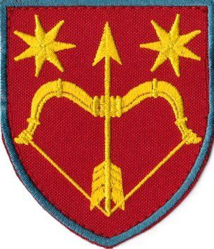 Нарукавний знак ЗСУ 4717 в/ч кольоровий 11618 15328 фото