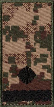 Погони Національна Гвардія України НГУ Майор Хижак\Olive 12346 19688 фото